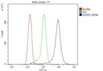 IGFBP2 Antibody in Flow Cytometry (Flow)