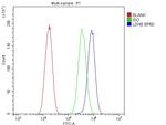 LDHB Antibody in Flow Cytometry (Flow)