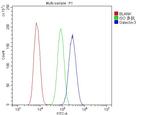 Galectin 3 Antibody in Flow Cytometry (Flow)