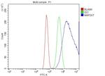 MKK7 Antibody in Flow Cytometry (Flow)