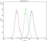 MVP Antibody in Flow Cytometry (Flow)