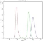 NFATC3 Antibody in Flow Cytometry (Flow)