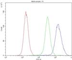 NFIA Antibody in Flow Cytometry (Flow)