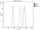 NME2 Antibody in Flow Cytometry (Flow)