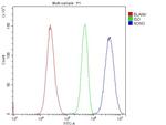 NONO Antibody in Flow Cytometry (Flow)