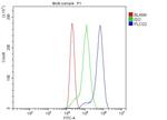 PLCG2 Antibody in Flow Cytometry (Flow)