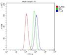 PLK2 Antibody in Flow Cytometry (Flow)