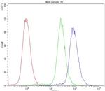 Cytochrome P450 Reductase Antibody in Flow Cytometry (Flow)