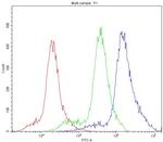 Cytochrome P450 Reductase Antibody in Flow Cytometry (Flow)