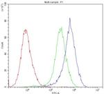 Cytochrome P450 Reductase Antibody in Flow Cytometry (Flow)