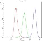 Cytochrome P450 Reductase Antibody in Flow Cytometry (Flow)