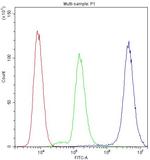 MYPT1 Antibody in Flow Cytometry (Flow)