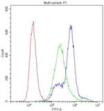 PKC eta Antibody in Flow Cytometry (Flow)