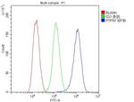 PTP1B Antibody in Flow Cytometry (Flow)