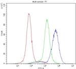 RAB27A Antibody in Flow Cytometry (Flow)