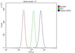 RASA1 Antibody in Flow Cytometry (Flow)