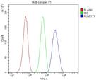 RUNX1T1 Antibody in Flow Cytometry (Flow)