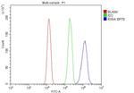 RXRA Antibody in Flow Cytometry (Flow)