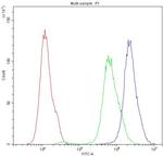 SCRIB Antibody in Flow Cytometry (Flow)