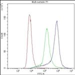 P-Selectin (CD62P) Antibody in Flow Cytometry (Flow)