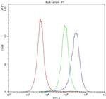 P-Selectin (CD62P) Antibody in Flow Cytometry (Flow)