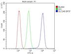 GLUT5 Antibody in Flow Cytometry (Flow)