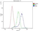 CD43 Antibody in Flow Cytometry (Flow)