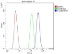 CD43 Antibody in Flow Cytometry (Flow)