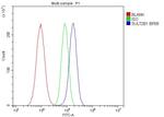 SULT2B1 Antibody in Flow Cytometry (Flow)