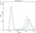 DR4 Antibody in Flow Cytometry (Flow)