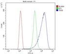 TNXB Antibody in Flow Cytometry (Flow)