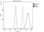 Beta III Tubulin Antibody in Flow Cytometry (Flow)