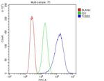 Beta III Tubulin Antibody in Flow Cytometry (Flow)