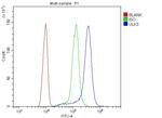 ULK3 Antibody in Flow Cytometry (Flow)