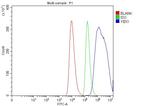 YBX1 Antibody in Flow Cytometry (Flow)