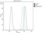 14-3-3 zeta Antibody in Flow Cytometry (Flow)