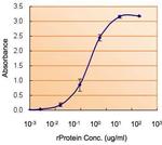 SOD1 Antibody in ELISA (ELISA)