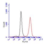 CD81 Antibody in Flow Cytometry (Flow)