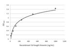 Vimentin Antibody in ELISA (ELISA)