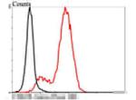 CD62E (E-selectin) Antibody in Flow Cytometry (Flow)