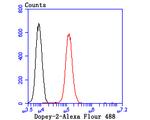 DOPEY2 Antibody in Flow Cytometry (Flow)