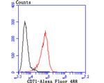 CD71 (Transferrin Receptor) Antibody in Flow Cytometry (Flow)