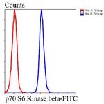 p70 S6 Kinase Antibody in Flow Cytometry (Flow)