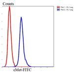 c-Met Antibody in Flow Cytometry (Flow)