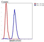 BMP-2 Antibody in Flow Cytometry (Flow)