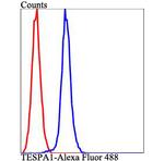 TESPA1 Antibody in Flow Cytometry (Flow)