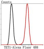 TET1 Antibody in Flow Cytometry (Flow)