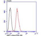 Glypican 1 Antibody in Flow Cytometry (Flow)