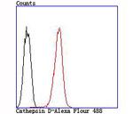 Cathepsin D Antibody in Flow Cytometry (Flow)