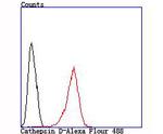 Cathepsin D Antibody in Flow Cytometry (Flow)